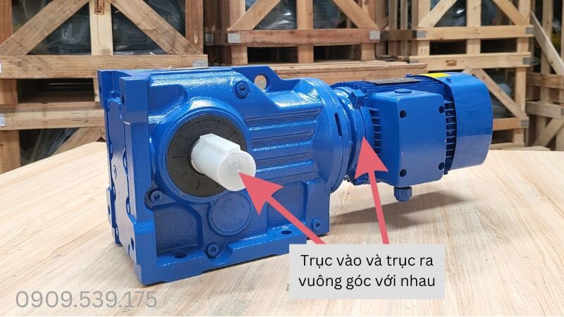 Motor giảm tốc trục vuông góc tại Thành Thái Motor.