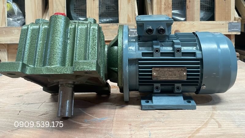Motor giảm tốc WP vỏ gang chịu tải nặng trong công nghiệp